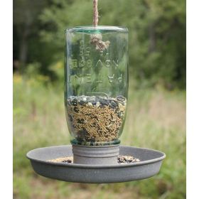 Hanging Mason Jar Birdfeeder